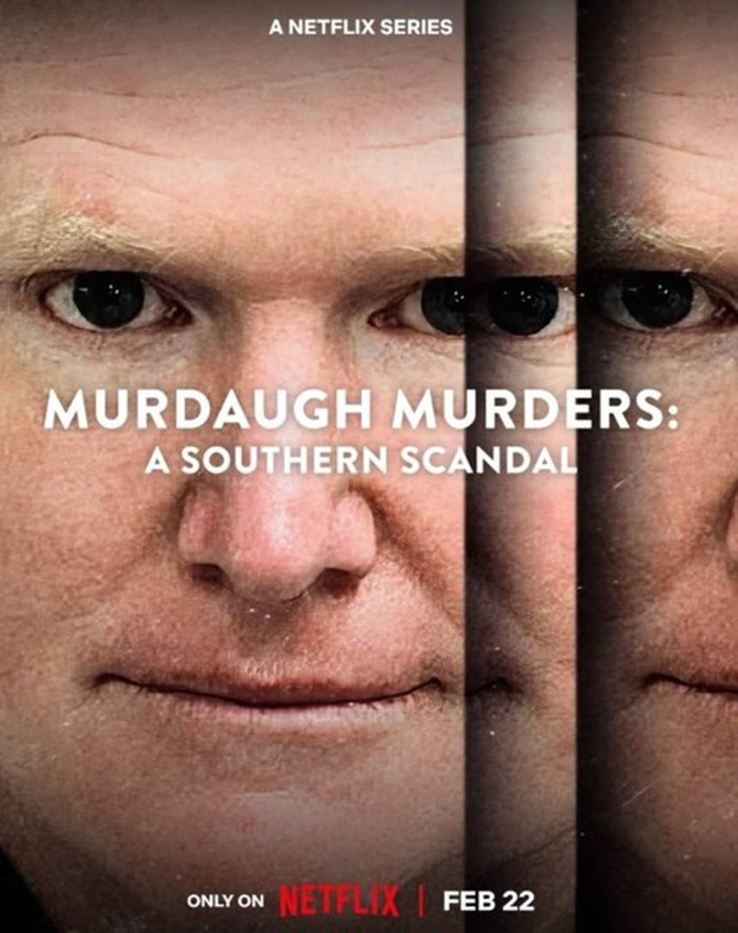 Netflix'in şubat ayı içerikleri evde sinema keyfi yaptıracak! İşte Netflix'e şubat ayı gelecek yeni içerik listesi 12